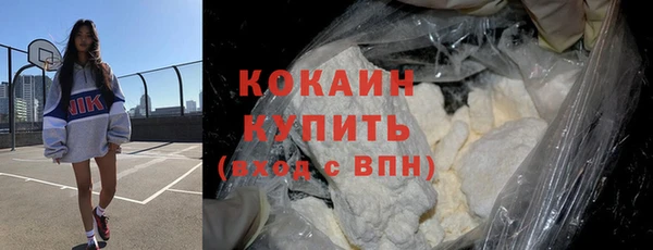 ГАЛЛЮЦИНОГЕННЫЕ ГРИБЫ Богданович