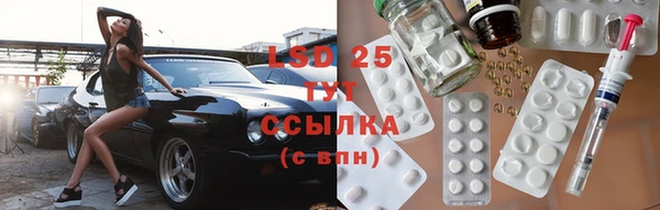 спиды Богородицк