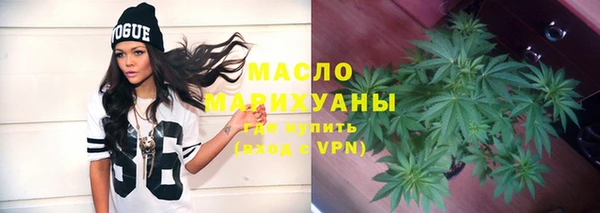 спиды Богородицк