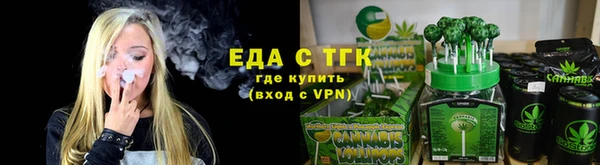 спиды Богородицк