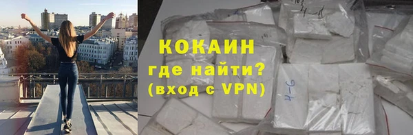 трава Белокуриха