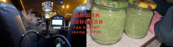 ГАЛЛЮЦИНОГЕННЫЕ ГРИБЫ Богданович