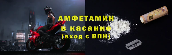 ГАЛЛЮЦИНОГЕННЫЕ ГРИБЫ Богданович