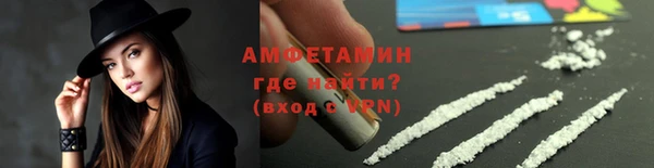 ГАЛЛЮЦИНОГЕННЫЕ ГРИБЫ Богданович