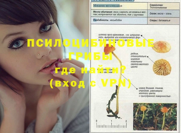 спайс Белоозёрский