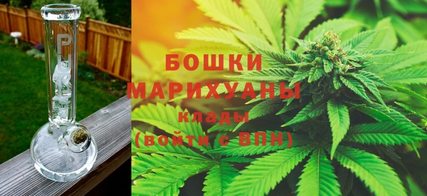 спиды Богородицк