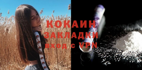 ГАЛЛЮЦИНОГЕННЫЕ ГРИБЫ Богданович