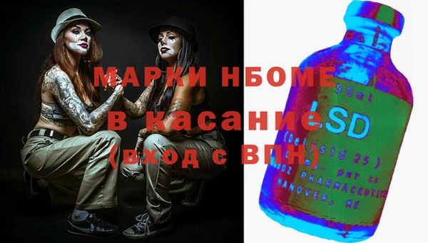 спиды Богородицк