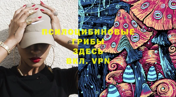спиды Богородицк