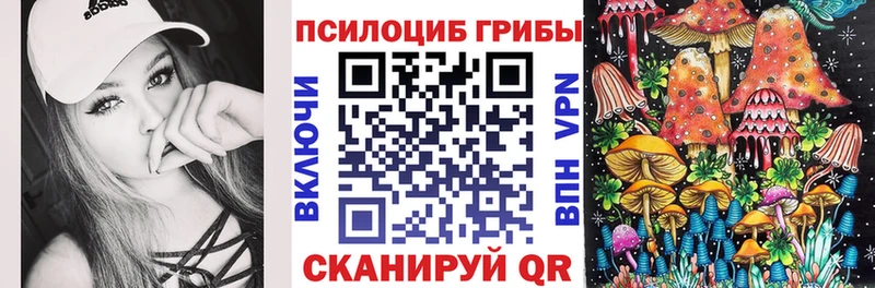 Псилоцибиновые грибы MAGIC MUSHROOMS  Сланцы 